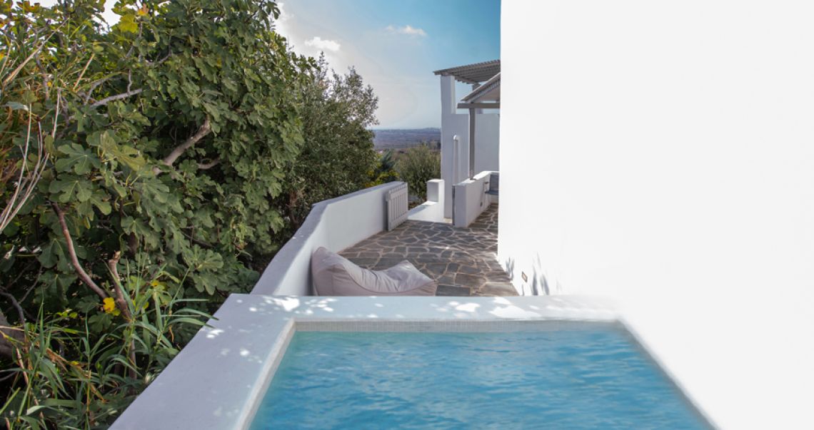 View of a private plunge pool shaded by a large fig tree, next to a stone pathway leading to a terrace with landscape views.